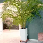 Hama Design Homes Appartement