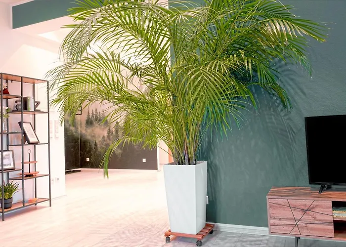 Hama Design Homes شقة